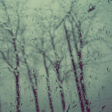 Dustin Morris - Rain
