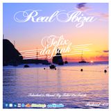Real Ibiza #3 by Felix Da Funk
