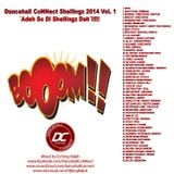 Dancehall CoNNect Shellingz 2014 vol. 1 ´Adeh So Di Shellingz Deh´