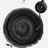 Electro House Collection #1