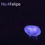 Jellyfish No.4 (Part 2) /w Felipe