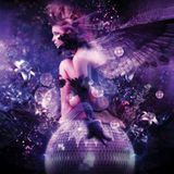 FIERCE ANGEL'S COLLECTION by AMX