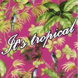It's tropical vol.3