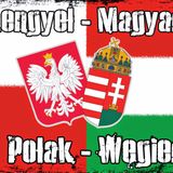 Lengyel-Magyar barátság mix by Dj Pajtás (Sell-action#200_tilos90.3_2015.03.22)