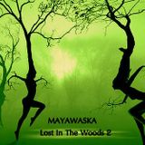 Lost In The Woods - Part 2