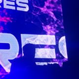 Viktor Flores_Freelive Festival