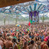 Psychedelic Trip