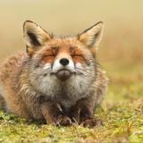 Ahhhhhh!!! mmmmm, deeper, ahhhh, dubstep