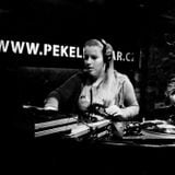 Unbekannte_Teilnehmerin@Chicago_House_Night_Pekelnej_Bar_Prague_22_02_13