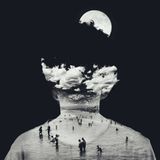 "The Trip: Mind Trip"