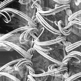 Twin Peetz : Microscopic 021 (February2016)