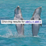 speak with a dolphin