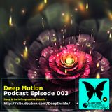 Deep Motion Podcast 003