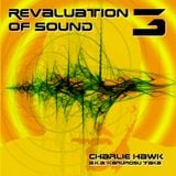 Charlie Hawk Aka Karurosu Taka - Revaluation of Sound 3