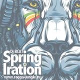 Dj B.CAT-Spring Iration