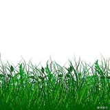 GRÜNE WIESE MIX by Ben-Ten 1.04.2012