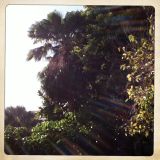 Milieu Mixtape