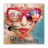 The Wild Life #13
