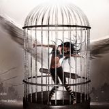 Electro & House 2013 Podcast May/June