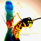 Laidback Sessions Prt.21 mixed by The Timewriter November 2012