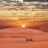 Desert expedition #2