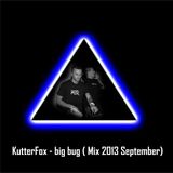 KutterFox - big bug ( Mix September 2013)