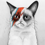 Tributo a David Bowie