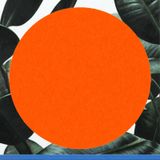SDC007 - JONATHAN KUSUMA