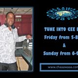 Cee Bee Party Zone Show 001 19-06-2015