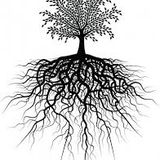 The Cosmic Roots