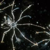 Electronic Blues - Nov 2011 mix