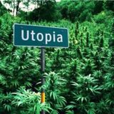 Fort Wenty, Can Of Bliss ~Outer Limits 420 Special~ 19 April 2014