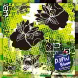 Bloom / DJ PIN (aka pin_oknw)