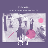 Soulful House Journey 87