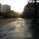 Morning Light