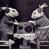 Feed Your Head with the Hutchinson Brothers 24th August