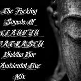 The Fucking Sounds Of Claudiu Patrascu Buddha Bar Ambiental Live Mix