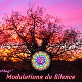 Modulations du Silence 2