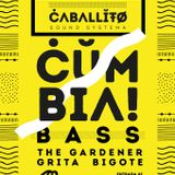 Caballito Sound Sistema + The Gardener Sevilla @Sala Malandar //29/1/2016//