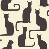 Cat Moviments