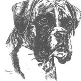 Barkin' Mad 006