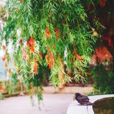 Monday Morning Mixtape 111