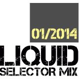 Dj Liquid - SELECTOR MIX - 01/2014