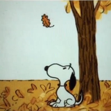 FLOATING LEAVES