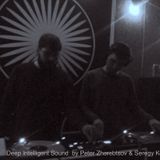 Sergey Koposov & Peter Zherebtsov - Deep Intelligent Sound 003 (18.11.15) 1hour