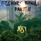 FullVibes Jungle Part II