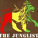 junglemusic 4the 90s