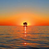 Dj Sense-Deep Feelings/enjoy/