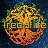 Edell - Acid Test 2014 Special for Tree Of Life festival