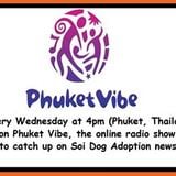 Soi Dog Chat 29th October